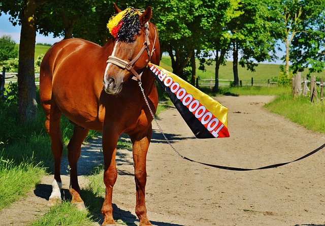 NBA杯8强战东部对阵出炉：魔术vs热火、尼克斯vs猛龙